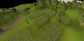 1 functions of trees 1.1 woodcutting, firemaking, and. Old School Runescape The Complete Farming Guide