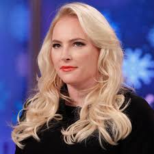 Meghan McCain defends American Airlines passenger told to 'cover up'
