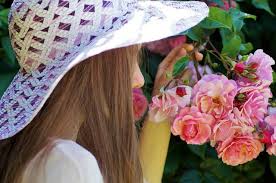 English roses, either climbing or classica, are both fragrant and romantic. 18 Fragrant Roses To Perfume Your Garden Rose Gardening