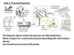Ppt Task 1 Process Flowchart Powerpoint Presentation