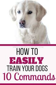 Learn How To Easily Train Your Puppy Dog To Sit Heel Down And Even Cross Its Paws Training Your Dog Dog Training Obedience Puppy Training