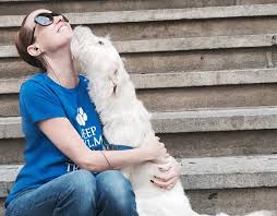 We've been around for over 60 years, raising standards and ensuring that the. Pet Sitters International Releases 2016 State Of The Industry Survey Results