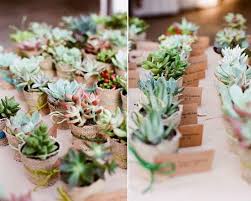 Disponemos de gran variedad de papeles. Originales Cactus Para Decorar La Boda Boda Suculenta Invitado A La Boda Regalos Invitados Boda