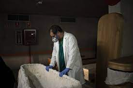 Check spelling or type a new query. Coffins In The Parking Lot A Spanish Funeral Home Copes With Coronavirus Egypt Independent
