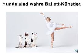 Ein gedicht kann von allem handeln, von liebe über verlust, bis zum rostigen tor eines alten bauernhofs. Lustiges Bei Funpot Entdecken