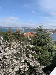 bosphorus from baltaliman istanbul turkey