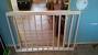 Dog Door Ideas