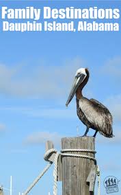 Our family took a trip back in september to dauphin island, alabama. Family Travel Destinations Dauphin Island Alabama Traveling Family Blog