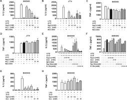 Download this template using the above button. The Intracellular Chloride Channel Proteins Clic1 And Clic4 Induce Il 1b Transcription And Activate The Nlrp3 Inflammasome Journal Of Biological Chemistry