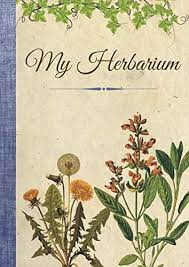 My Herbarium Notebook To Complete Sheets And Dried Flowers 110 Pages A4 Size Herbarium Us Nature 9798608881459 Books Amazon Ca