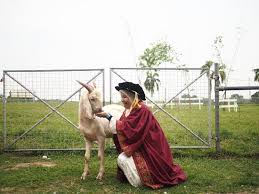 Check spelling or type a new query. Kambing Bakar Picture Of House Of Kambing Sri Kembangan Tripadvisor