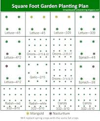 square foot garden spacing careerview info