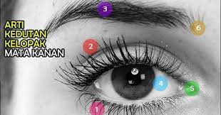 Saja je nak tgk apa kata org dalam google ni. Kelopak Mata Berkedip Ni Kata Kelab Bawang Semalaysia Facebook