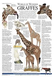 Pin On Science Infographics Land Life