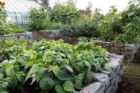 Make sure your raised planter box is a safe place to grow food. Raised Bed Garden Design How To Layout Build Garden Design