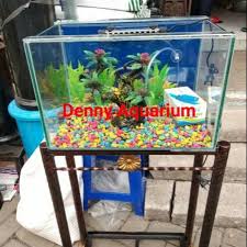 Aquarium air tawar adalah sarana rekreasi yang menyajikan peragaan koleksinya bertemakan 'indonesia dan dunia air tawar'. Paket Aquarium Kaca 40x20x25cm Shopee Indonesia