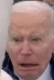 Aella Birthday gangbang stats dropped : rDestiny