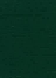 Tons of awesome forest green background to download for free. Canvas 5446 Forest Green Green Texture Dark Green Background Green Aesthetic