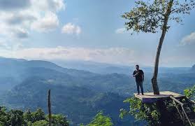 Jam operasional dan harga tiket masuk dusun bambu. Wisata Bukit Di Jember Tempat Wisata Indonesia