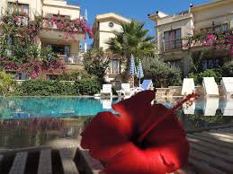 Check spelling or type a new query. Mediterranean Apartments Bahce B1 Home Facebook