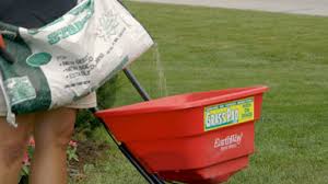 Maybe you would like to learn more about one of these? Idiot Proof Steps To Overseeding In The Spring Grass Pad