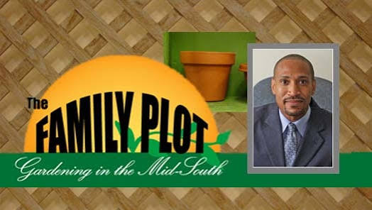 The Family Plot | Shelby County