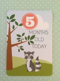 Birthday Wishes For Baby Boy 5th Birthday 5 Months Old Baby Milestone Cards Www Memorymakercardshop Etsy Com Baby Milestone Cards Milestone Cards 5 Month Old Milestones