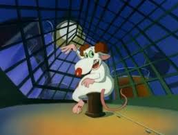 This action game is now abandonware and is set in an arcade and licensed title. Saturday Mornings Forever Pinky And The Brain