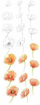 Fur kleine zeichner tiere zeichnen lernen leicht gemacht fur. Aquarell Onlinekurs Blumen Malen Wasserfarbenblumen Wie Man Blumen Malt