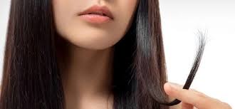 Bear in mind, that all these remedies must be accompanied with. Try These Home Remedies To Get Rid Of Split Ends Newstrack English 1