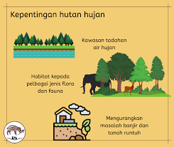 Seulawah agam merupakan hutan hujan tropis yang terletak di kawasan seulawah. Bagi Topik Kelab Pencinta Kelab Pencinta Alam Malaysia Facebook