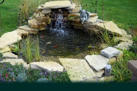 We did not find results for: Custom Pro Pond Kit W Waterfall Diy Backyard Koi Water Garden Pool