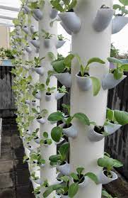 Here are 15 herbs and houseplants that can grow hydroponically, meaning they can survive without potting soil, in just a vase full of water. Inspiring 10 Minimalist Creative Garden Ideas To Enhance Your Small House Beautiful Https Decoretoo Hydroponics Diy Diy Garden Projects Vertical Herb Garden