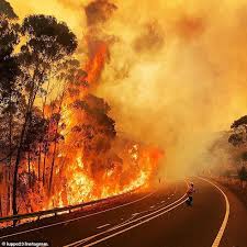 How A 400 000 Hectare Mega Blaze Could Join A Nearby Bushfire Today Bushfires In Australia Wild Fire Fire Image