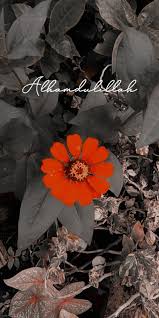 Apa yang membuat aku lebih geram ialah tiada garisan seluar dalam yang terlihat kalau tak dapat ramaspun, dapat usap pun jadi la. Pin Oleh Sunariyah Di Typography Wallpaper Bunga Indah Agama Kutipan Ibu