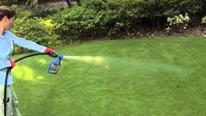 The pest control professionals or exterminators know how to kill and eliminate the bugs from your house. Lawn Insect Pest Control The Green Green Grass Company Lawn Care Specialist Lawn Feeding Weed Control Moss Removal Scarifying Lawn Aeration Overseeding Lawn Topdressing Insect Pest Control Business Weed Control Stirling