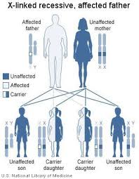 glucose 6 phosphate dehydrogenase deficiency duchenne