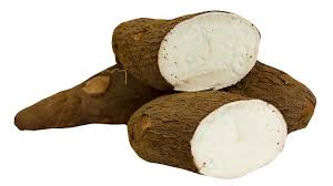 Image result for cassava