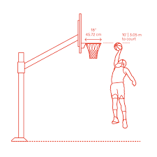 basketball rims nets dimensions drawings dimensions guide