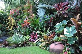 Pin On Tropical Garden