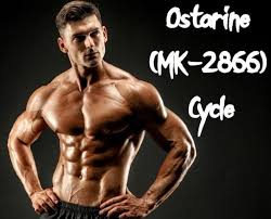 We did not find results for: Mk 2866 Does It Work Ostarine Mk 2866 Sarm Legit Consumer Warning And Side Effects Film Daily