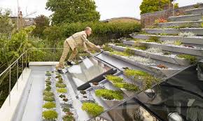 Ziggurat Like Roof In London Supports 800 Sedums Heathers Flowers And Herbs Abri De Jardin Moderne Jardin Sur Le Toit