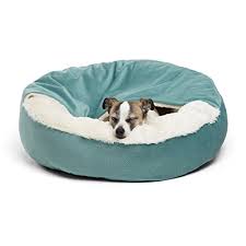 Check spelling or type a new query. The 14 Best Dog Beds Of 2021 According To Experts
