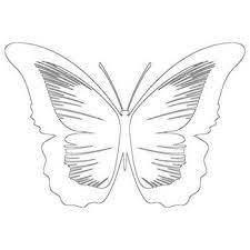 This is our way of life. Butterfly Coloring Pages Beautiful Butterflies To Color