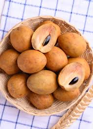 Image result for Manilkara zapota