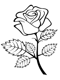 Rose Color Page Rose Outline Roses Drawing Rose Coloring Pages