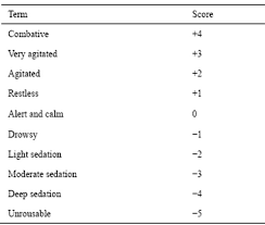 Unrecognised Undertreated Pain In Icu Causes Effects And