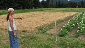 6 Simple Steps To Crop Rotation Hobby Farms
