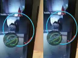 Heboh Guru Terekam Berhubungan Seks Saat Rapat Zoom, Bikin Peserta Panik  Teriak Histeris - Indozone News