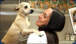 We are here for you! North Haven Animal Hospital And North Colony Animal Hospital North Haven Ct Veterinarian Wallingford Ct Veterinarian